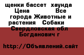 щенки бассет- хаунда › Цена ­ 20 000 - Все города Животные и растения » Собаки   . Свердловская обл.,Богданович г.